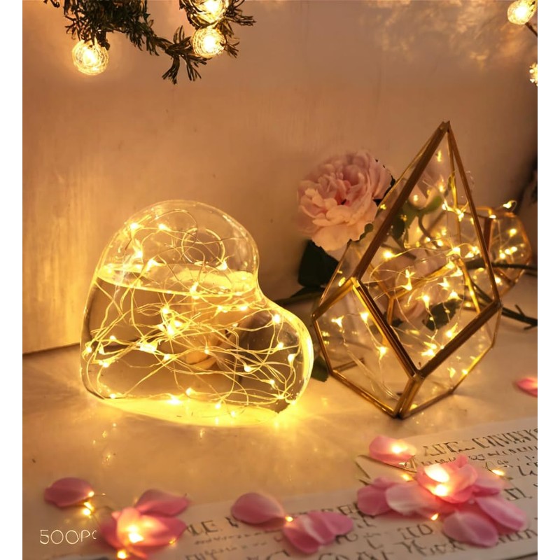 6 Pack Fairy Lights Battery Operated with Timer 2PCS Remote