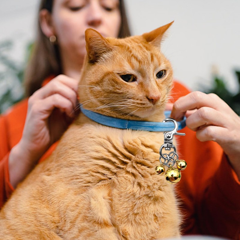 RNSKFG 2 Pieces Bell Pendant, Bell Keychain, Cat Collar Bell,
