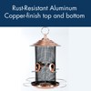 Woodlink WLCBN Copper Finish Nyjer Feeder