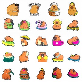 GVMJHYK Capybara Shoe Clips for Clog Shoes with Pins Set of 24 Charms and Metal Pin Accessories for Children Girls Boys Backpacks Clothing Gift School Animal Friends Decoration