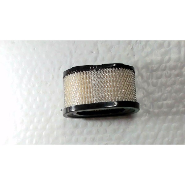 Jiahe 1001115 Jiahe Air Filter Replaces Briggs & Stratton 494586,