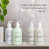 Alice + Co. Loción Corporal Fairfield By Marriott - Loción