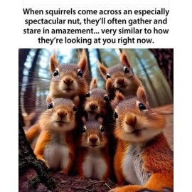 Funny Squirrel  refrigerator magnet 3 1/2 x 4 1/2