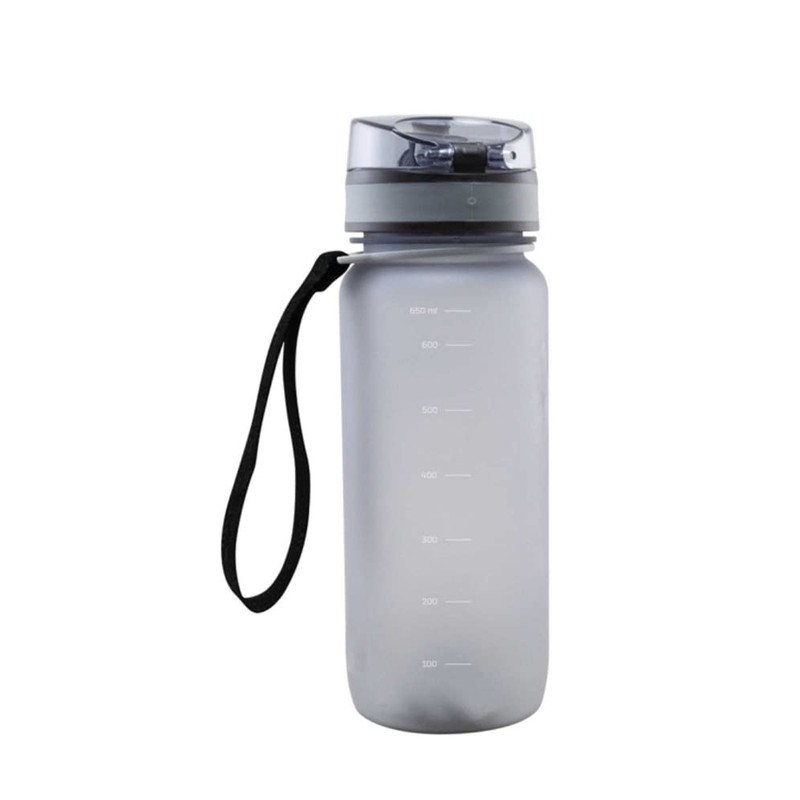 Fortuna Düsseldorf Tritan F95 Water Bottle Grey Transparent 0.65 L