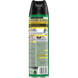 Raid House and Garden Aerosol 11 Ounce (Pack of 1)