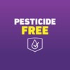 Ortho Home Defense Max Bed Bug Trap, Detect Bed Bugs