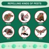 Natural Rodent Repellent Balls with Peppermint Oil - 14 Pack