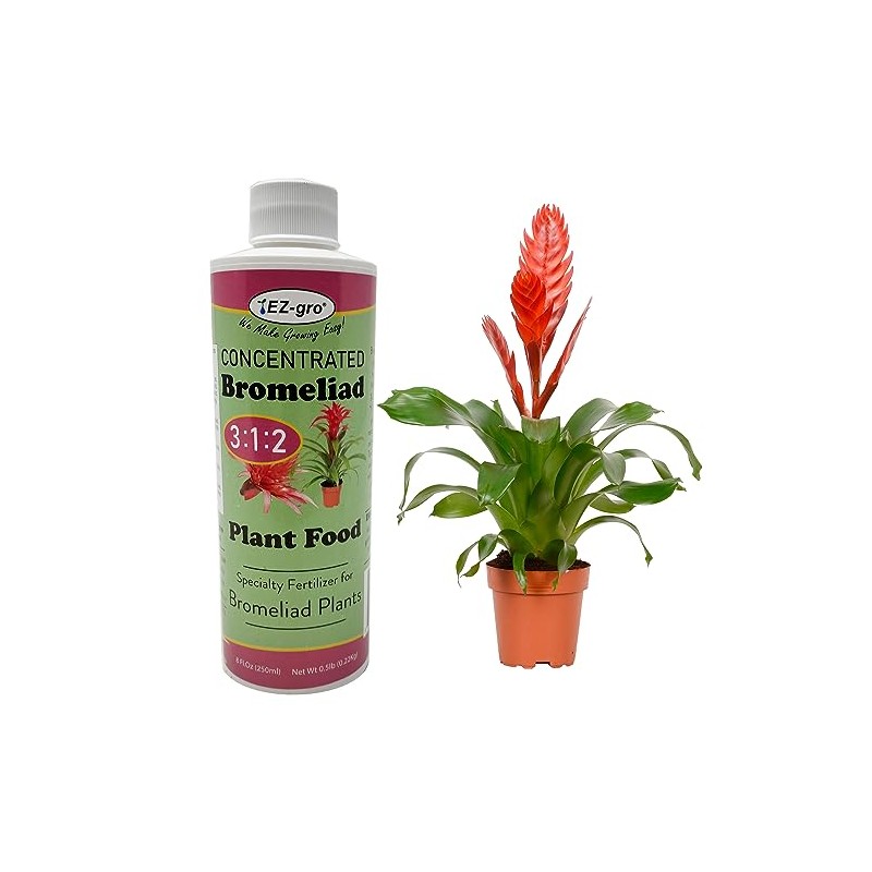 Professional Liquid Bromeliad Fertilizer by EZ-gro | 3:1:2 Ratio of
