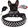 Dog Collar Set with Studs, Rivets, Studded, Puppy Collars, Spiked