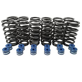 Fits Cummins 6BT 12V Dodge +60 lbs Valve Springs + Viton Seals - Set of 12 - NEW