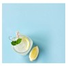 Island Oasis Lemonade Fruit Puree, 33.8 fl oz (1 Liter)