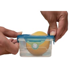 Handy Gourmet Flexi-Top Containers with Stretchable Silicone Lids, Square - Set of 2, Clear