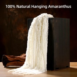 Jtoder 5Pcs Dried Amaranthus Hanging Flowers, Natural Preserved Flower for Wedding Arch, Exhibition, Wall Hanging Lover Tears, Floral Arrangement, Home Decor (White, 24")