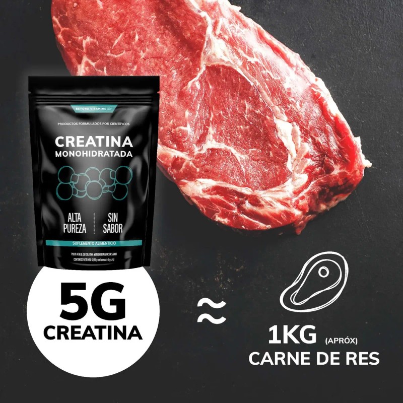 Creatina Monohidratada Micronizada Polvo Pre Workout 100 Alta Pureza Certificada