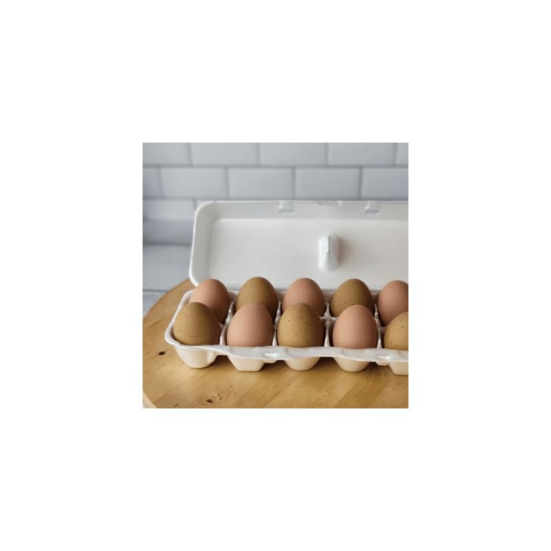 White 12-Egg Blank Styrofoam Carton - 25 Pack
