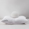 Eastwarmth Goose Down Feather Hotel Collection Bed Pillow for Sleeping,100%