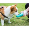 Portable Pet Water Bottle - Turquoise