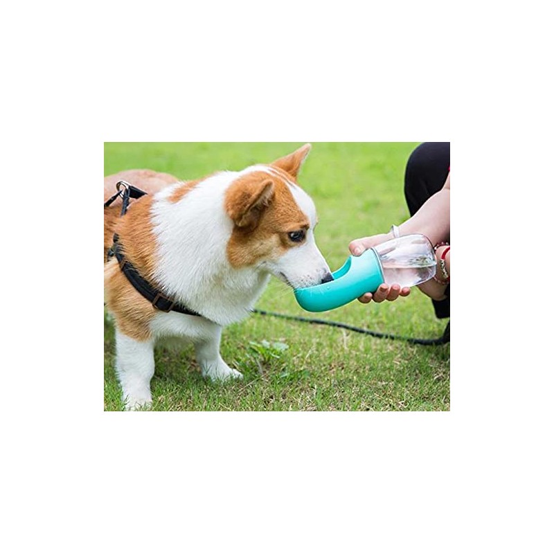 Portable Pet Water Bottle - Turquoise
