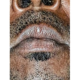 Bluntlip Powder for Removing Lip Stains from Smoke, 10 Min Application, using your saliva/last a week