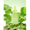 Papa Recipe Real Centella Cica Calming Serum 30ml / 리얼