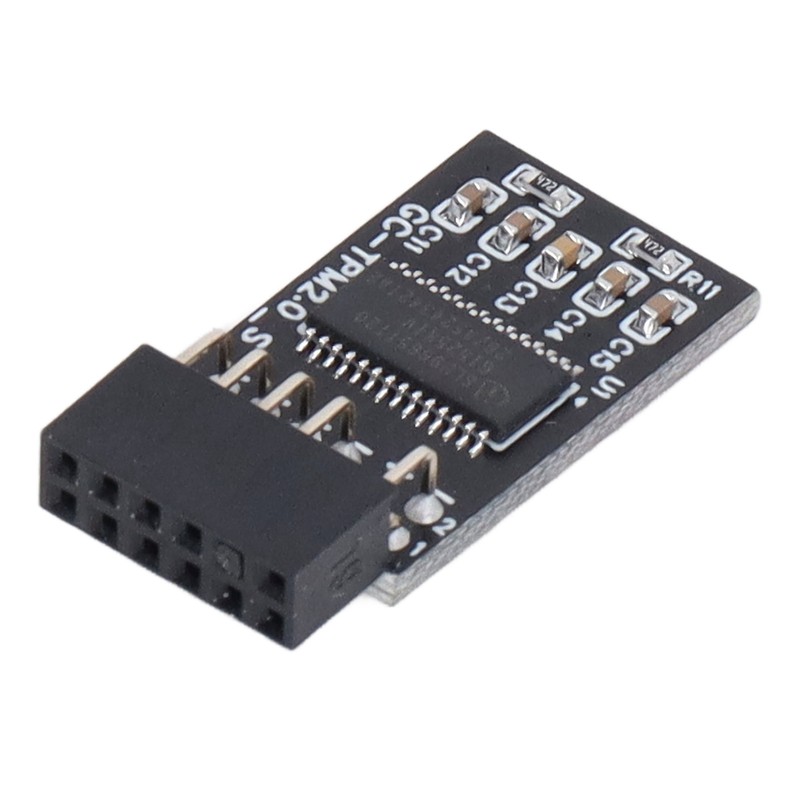 TPM 2.0 Module LPC SPI 12Pin Remote Card Encryption Security
