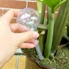 Pynqdfu 8 Pcs Clear Plant Watering Globes,Plastic Self Bulbs 8