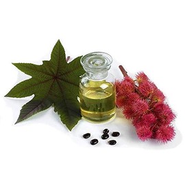 Kyabo Jamaican Black Castor Oil, Moisturize and Revitalize Skin, Strengthen, Thicken, Increase Hair Growth. For All Skin and Hair-100% Organic Cold-Pressed (8 Fl Oz)