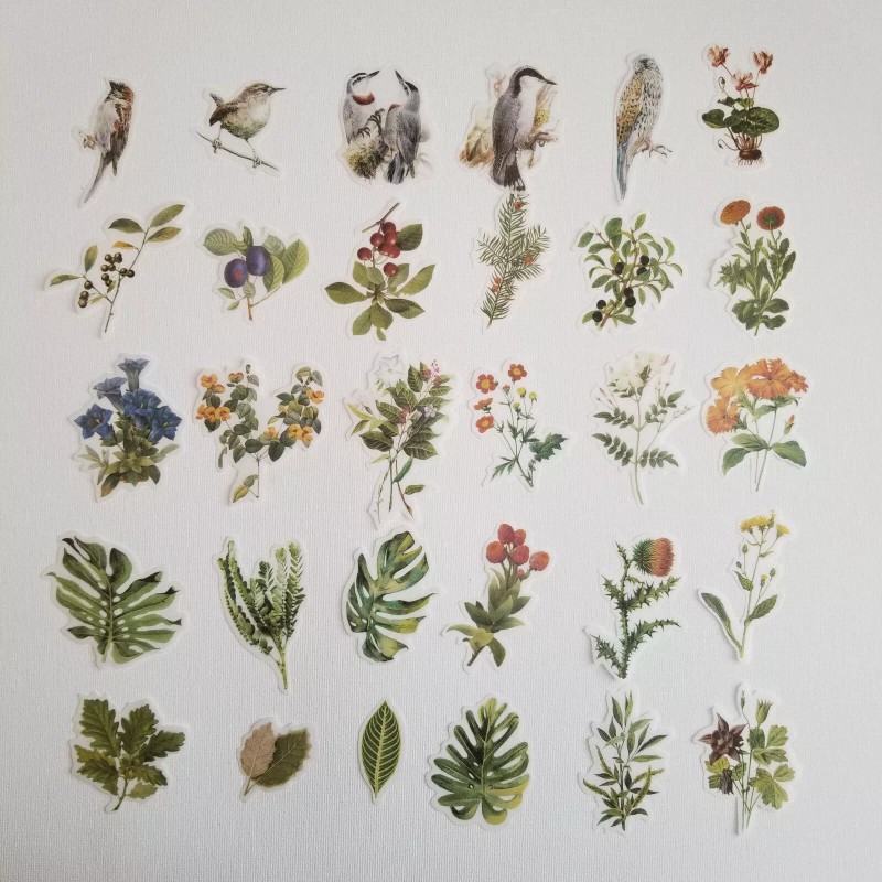 Unbranded 240pcs Flower/Butterf