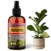 𝐒𝐔𝐏𝐄𝐑𝐈𝐎𝐑 Liquid Silica Boost Fertilizer and Supplement Spray for Fiddle