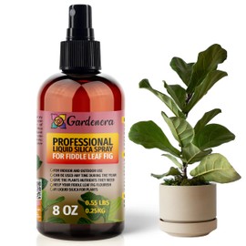 𝐒𝐔𝐏𝐄𝐑𝐈𝐎𝐑 Liquid Silica Boost Fertilizer and Supplement Spray for Fiddle Leaf FIG Plants – Pre-Mixed, Ready-to-Use Liquid Silicon Plant Superfood Mist for Indoor & Outdoor Plants – 8oz