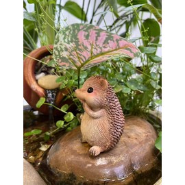 Hedgehog Statue with Umbrella, Hedgehog Figurine for Outdoor Decor Yard and Garden Decoration Resin Sculpture for Garden