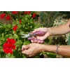 Dramm ColorPoint Stainless Steel Compact Garden Pruning Shears, Hand Pruner,