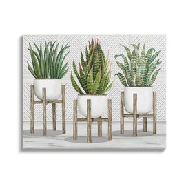 Stupell Industries Modern Aloe Plant Trio Living Room Still Life Canvas Wall Art, 30 x 24, Yellow