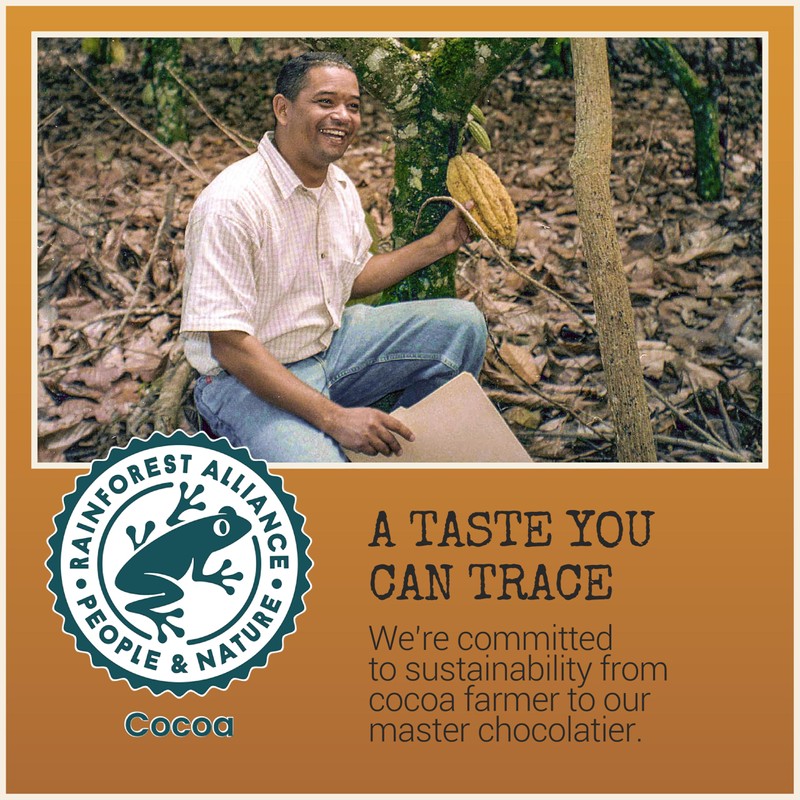 Chocolove Almonds & Sea Salt Dark Chocolate Bars | 55%