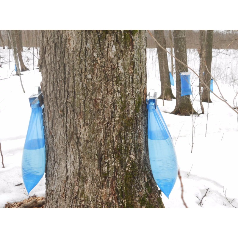 Case 250 Maple Sap / Syrup Bags For Sap Sack