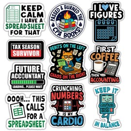BAVAHA (10pcs) Funny Accountant Stickers Accounting Spreadsheet Sticker Hilarious Financial Decals Gifts for Future Accountant Decorations for Cars Windows Water Bottle Helmet Laptop Tumbler