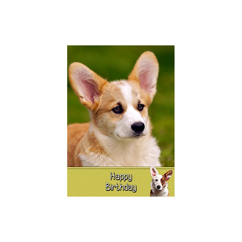Corgi Birthday Card