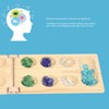 Folding African Stone Game Wooden Intellectual Logic Thinking Training Parent
