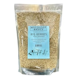 Bulk Rye Berries - Certified 100% Organic - Extra Clean - Great for Mushroom Spawn, Cooking, Brewing & Distilling - Triple Washed, non-GMO and in Resealable Bag - by Mycology Basics (10 lbs)