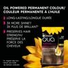 Garnier Olia Permanent Hair Dye, Ammonia-Free Hair Color, 6.0 Light