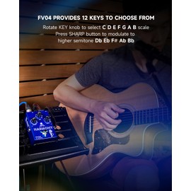 FLAMMA FV04 Vocal Harmony Pedal Vocal Effects Processor Stompbox Voice Mic Harmonizer with Reverb 12 Pitches with 11 Different Harmony Modes All-In-One for Singer and Guirist Singing Recording