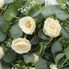 2 Pack 12FT Artificial Eucalyptus Flower Garland with 6 Champagne