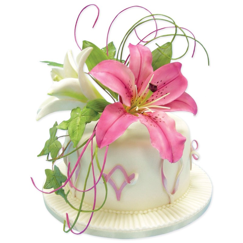 PME LY1000 Veined Lily Plunger Cutters, Small Size, Set of