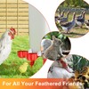 ZenxyHoC Chicken Waterer Cups, 10 Pack Automatic DIY Chicken Water
