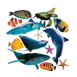 Fun Express Realistic Sea Ocean Animal Cardboard Cutouts (13 Piece Set Including Sharks, Whales, Turtles) Ocean Party Decor and Classroom Wall Decorations - VBS Vacation Bible School Supplies/Decor