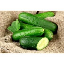 RAISE ME UP: Seeds Self-Pollinated Cucumber Grandpa's Granddaughter F1 for Pickling Non GMO Heirloom