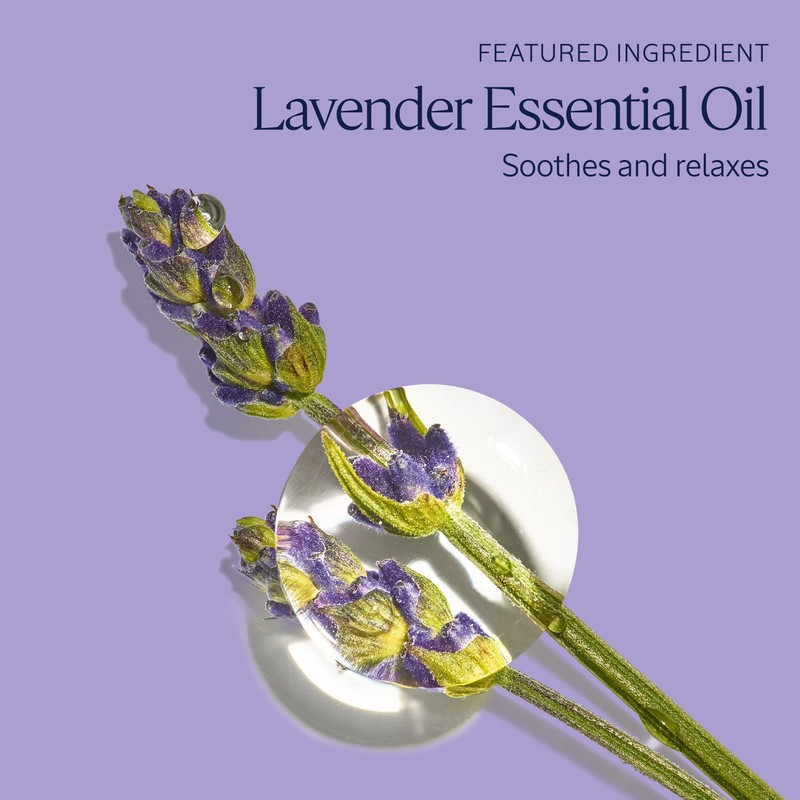 L'OCCITANE - Bubble Bath Lavender from Haute Provence - 500