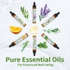 ORIENTLEAF Essential Oils Set for Diffusers, Fragrance, Aromatherapy Gifts for