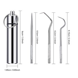 Portable Titanium Toothpicks Pocket Set Reusable Metal Stainless Steel Toothpicks with Holder for Outdoor Picnic and Camping (Silver,1 Set)