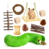 Hsthe Sea 10 Pcs Hamster Chew Toys, Gerbil Rat Guinea